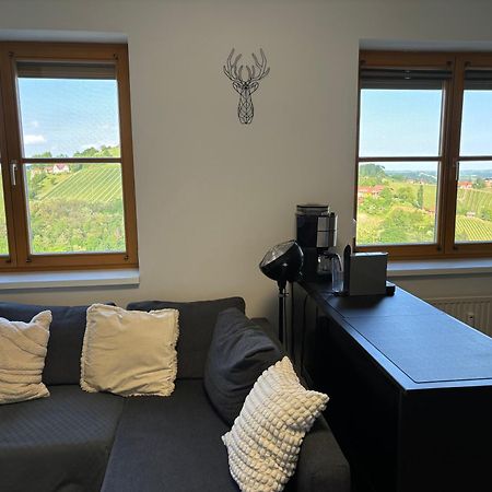 Glanz Und Gloria Weingartenapartment An Der Kellerstrasse, Viele Buschenschaenke, Sehr Ruhige Lage, Herrliche Aussicht! Leutschach Luaran gambar