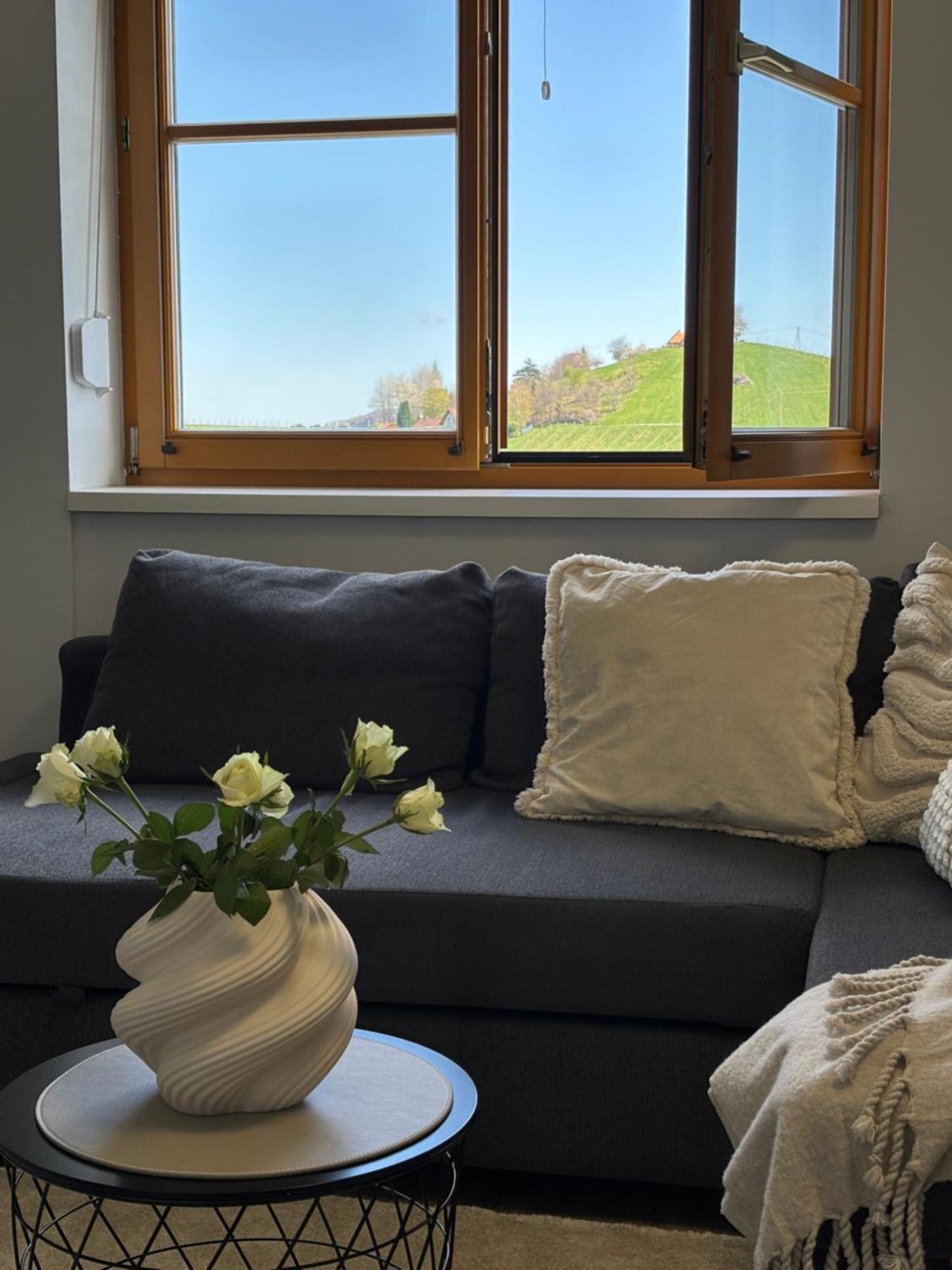 Glanz Und Gloria Weingartenapartment An Der Kellerstrasse, Viele Buschenschaenke, Sehr Ruhige Lage, Herrliche Aussicht! Leutschach Luaran gambar