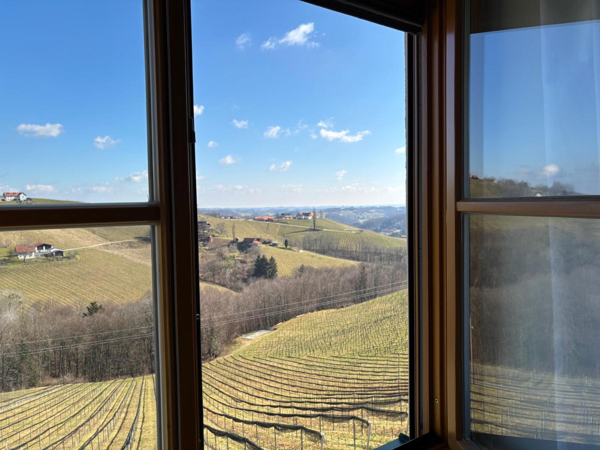 Glanz Und Gloria Weingartenapartment An Der Kellerstrasse, Viele Buschenschaenke, Sehr Ruhige Lage, Herrliche Aussicht! Leutschach Luaran gambar